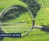 Вінницька прокуратура вимагає повернути земельні ділянки заказника «Буго-Деснянський» із незаконного користування