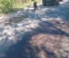 На Вінниччині триває ремонт місцевих доріг: гарячий асфальт і щебенево-піщаний вирівнювальний шар