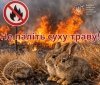  У Вінницькій області нагадують про небезпеку підпалів сухої трави