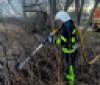 За добу на Вінниччині вигоріло понад 9 гектарів землі