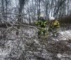 Негода на Вінниччині: рятувальники ліквідовують наслідки ожеледиці на дорогах