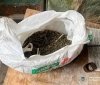На Гайсинщині у чотирьох чоловіків вилучили речовини, схожі на канабіс