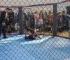 У Тульчині відбувся турнір з ММА пам’яті загиблого прикордонника Олександра Дєдова