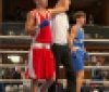 На чемпіонаті Вінницької області з боксу провели 20 поєдинків