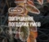 На Вінниччині оголосили помаранчевий рівень небезпеки через заморозки