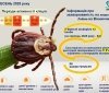 На Вінниччині у вересні зафіксовано 43 випадки хвороби Лайма — менше, ніж у серпні, але значно більше, ніж на початку року