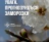 На Вінниччині знову очікують нічні заморозки до -5°: оголошено помаранчевий рівень небезпеки