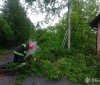 У Вінниці рятувальники двічі прибирали повалені дерева після сильного вітру