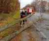 Рятувальники Вінниччини очистили дороги від повалених вітром дерев