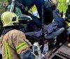 На Жмеринщині вантажівка врізалася в дерево: водія деблокували рятувальники
