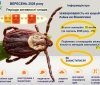 У вересні на Вінниччині зафіксували 32 випадки хвороби Лайма