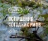 На Вінниччині 21 травня очікують град та сильний вітер: оголошено жовтий рівень небезпеки