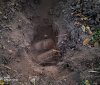 На Вінниччині з приватної ділянки вилучили снаряди часів Другої світової