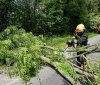 На Вінниччині рятувальники 21 раз виїжджали на ліквідацію наслідків негоди