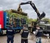 На Вінниччині викрили організовану групу лісівників, які незаконно заробили понад 3 млн грн на деревині
