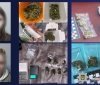 У Вінниці за «торгівлю» канабісом затримали двох дівчат