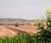 На Вінниччині аграрії завершують збір урожаю та сіють озимі культури під урожай 2027 року