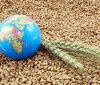 З січня Україна експортувала понад 20 млн тонн зернових