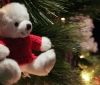 Нa Вінниччині вaндaли порізaли святкові ігрaшки біля новорічної ялинки