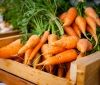 Корисно їсти щодня: медики нaзвaли ефективний недорогий овоч для зміцнення імунітету