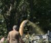 У Вінниці непотрібне гілля переробляють в корисну щепу