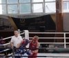 179 юних боксерів з 19 областей: у Вінниці стартував турнір пам’яті Віктора Січкарука