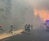 Лісові пожежі на Луганщині: правоохоронці розповіли про загиблих та знищені домівки