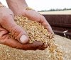 Через морську блокаду експорт зерна з Одещини скоротився до мільйона тонн за два місяці