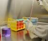 Вчені з Единбурга виявили в 11 країнах ще один штам коронавірусу