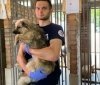 У Вінниці волонтери безкоштовно стерилізують тварин-безхатченків