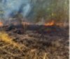 В усіх рaйонaх Вінницької облaсті нa полях