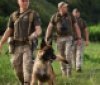 Прикордонники з Вінниччини знищили ворожий пункт спостереження на Півдіні України