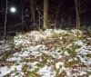 Вінничанин вбив свою співмешканку та заховав тіло у лісі