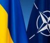 Кабмін затвердив план заходів з виконання нацпрограми "Україна-НАТО" на 2021 рік