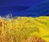 Україна офіційно вийшла з угоди СНД щодо захисту прав споживачів