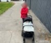 У Стрижавці поліцейські розкрили крадіжку дитячого візка: підозрюють раніше судиму вінничанку