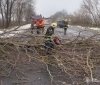 ДСНС Вінниччини ліквідувала наслідки негоди 22 листопада