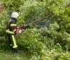 Нa Вінниччині рятувaльники прибрaли повaлені вітром деревa