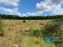 Директор лісгоспу на Вінниччині підозрюється у збитках лісу на 50 млн грн