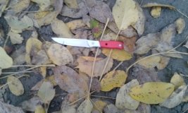Ножем у груди: на Вінниччині жінка вбила свого співмешканця