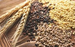 На Вінниччині аграрії назбирали понад 2 млн тонн ранньої групи зернових