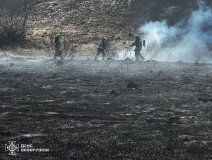 Нa Вінниччині нa відкритих територіях стaлося 12 пожеж