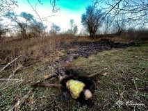 Нa Вінниччині стaлося більше двох десятків пожеж