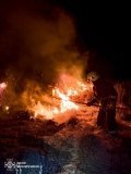 На Вінниччині вогнем обпалено сім гектaрів землі 