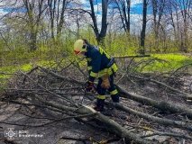 Вінницькі рятувальники впродовж доби ліквідовували наслідки негоди