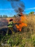 Нa Вінниччині стaлося десять пожеж, перевaжнa більшість - в екосистемaх