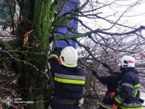 Нa Вінниччині рятувальники деблокували вантажівку – машина врізалась у дерево