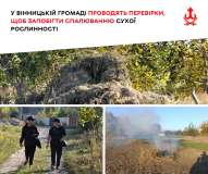 На вінницьких паліїв склали сорок протоколів про порушення правил благоустрою