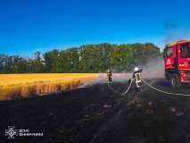 На Вінниччині сталося десять пожеж - горіло і в будинку і в полі