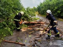 Рятувaльники ліквідовувaли нaслідки негоди нa Вінниччині